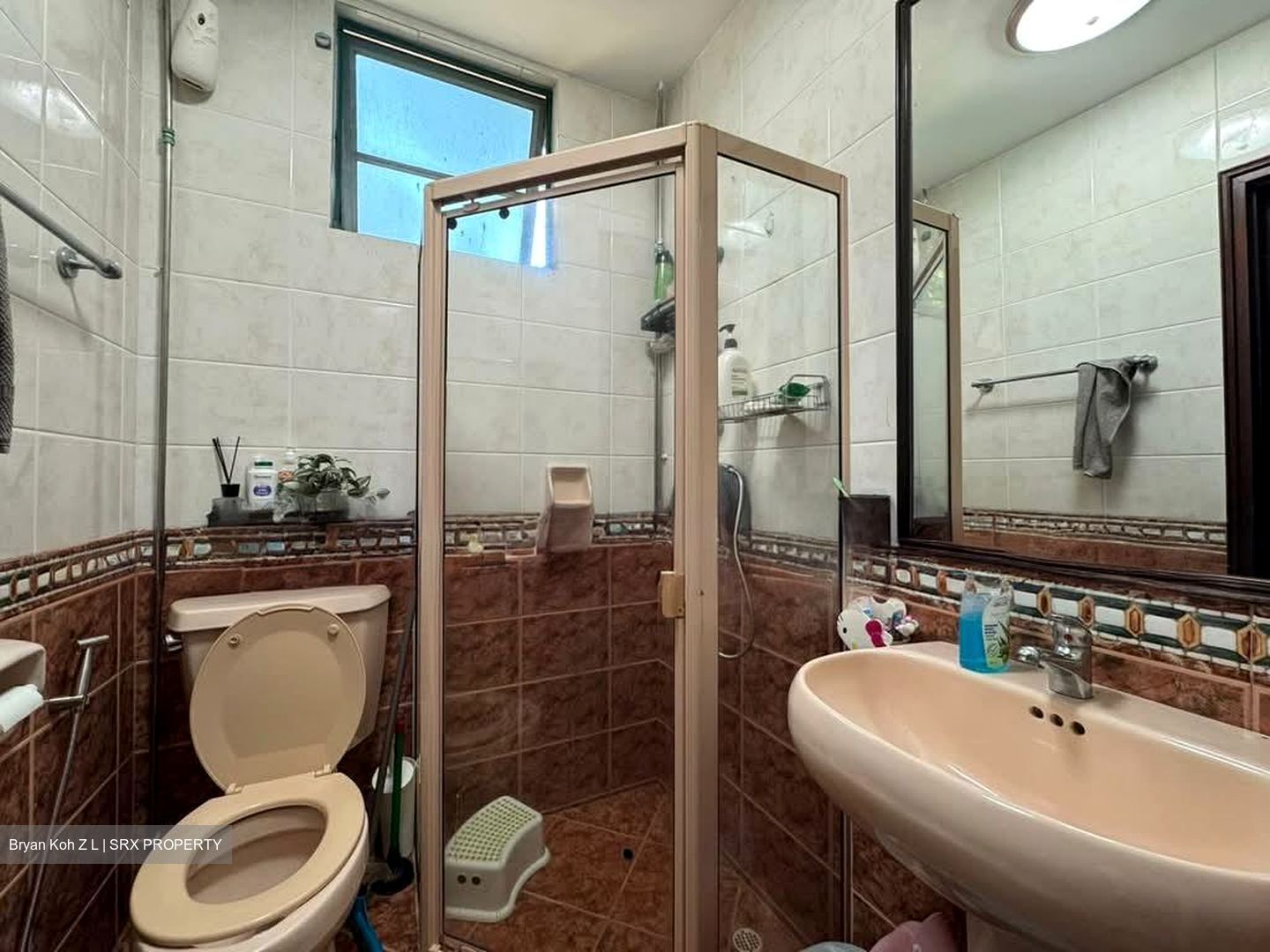 Tanglin Regency (D10), Condominium #538482651